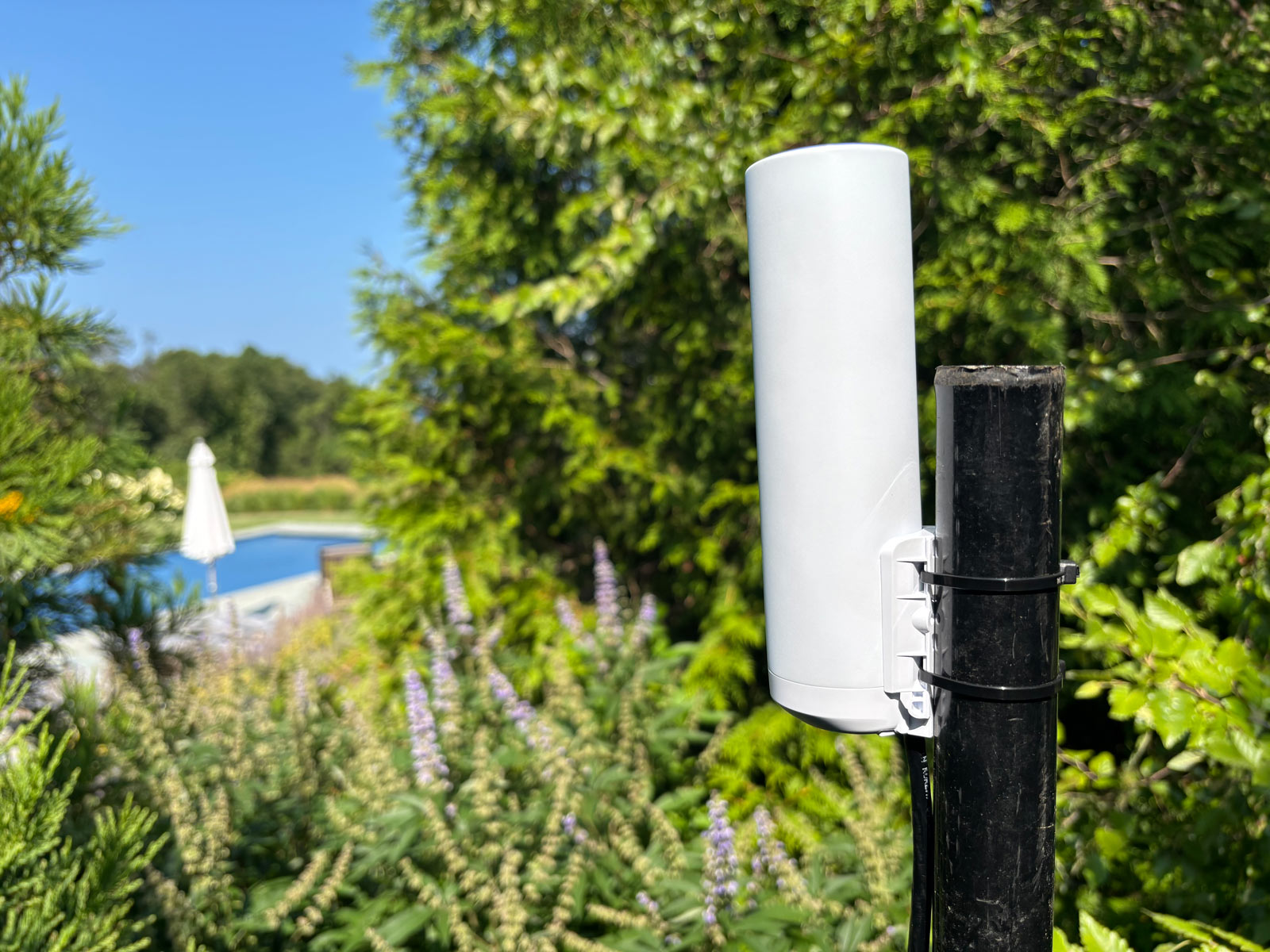 Outdoor Wi-Fi access point discreetly installed near a pool with hidden landscaping mount.